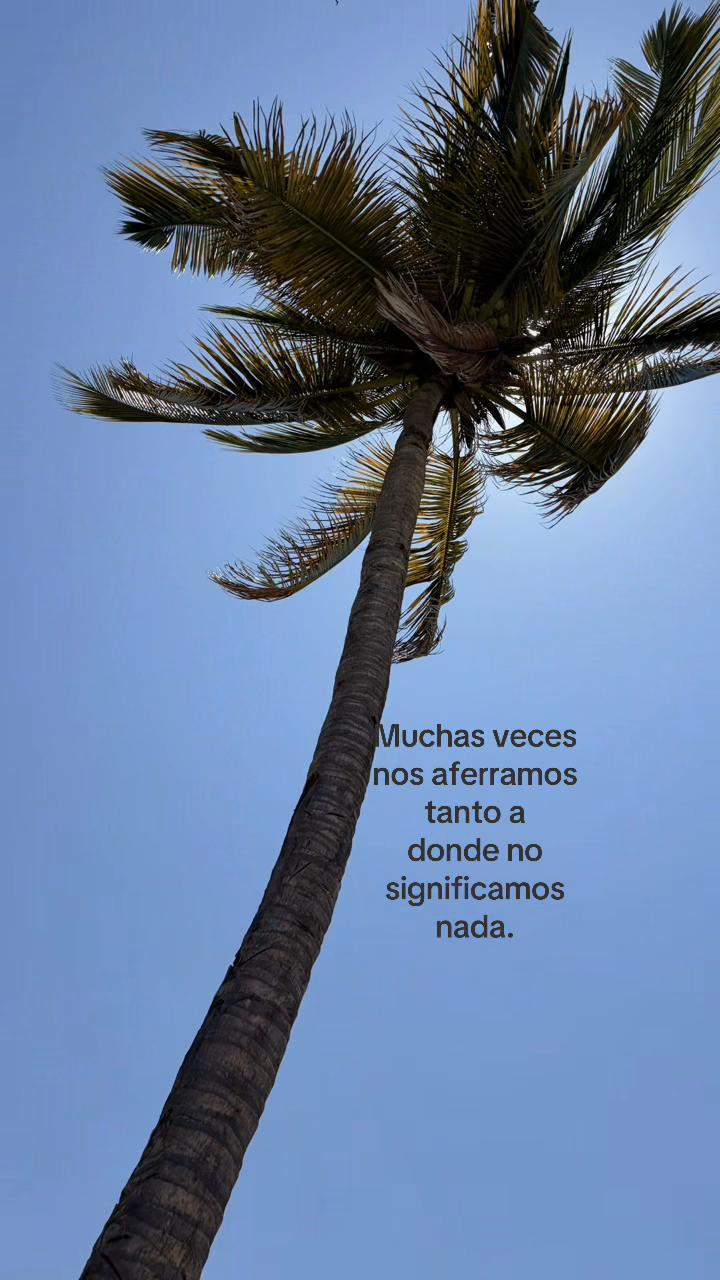 @El_esteban_999