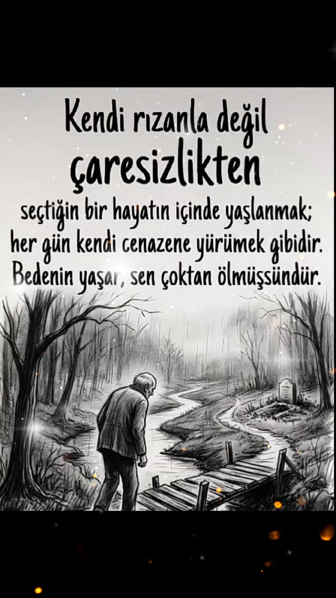 @aslani&ccedil;e