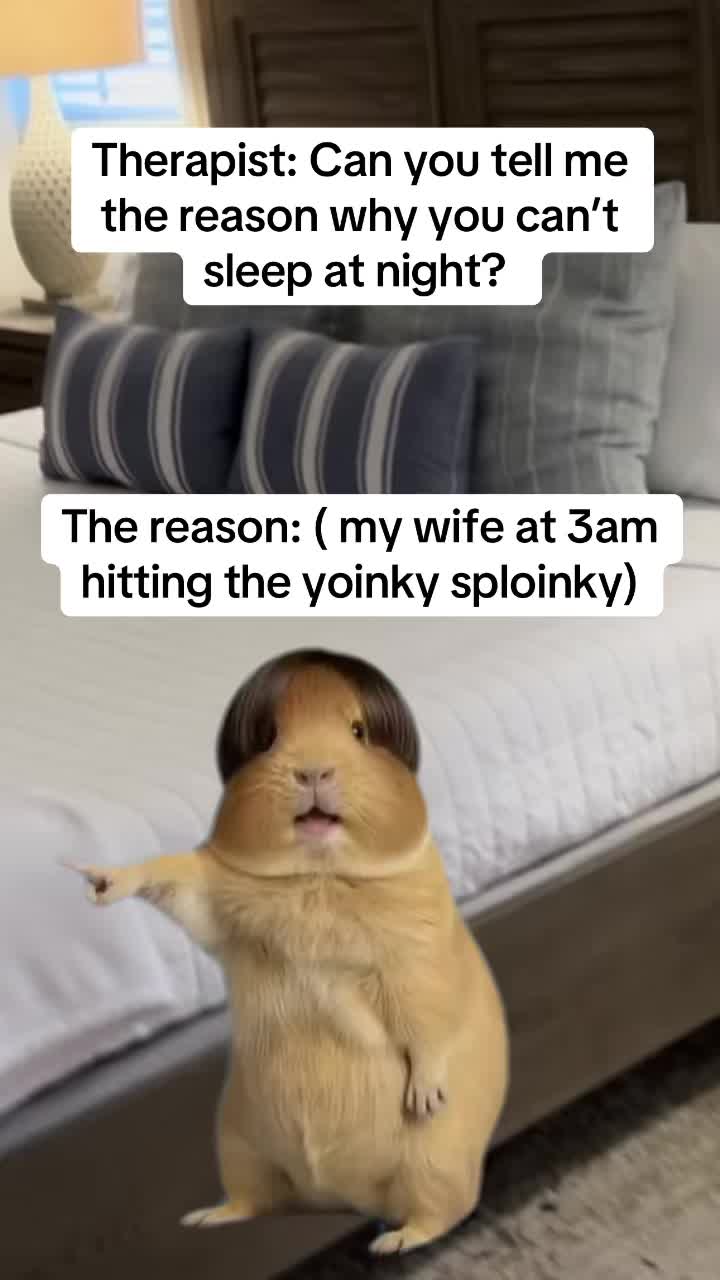 @Canis_200