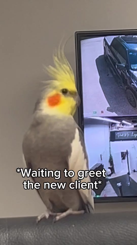 @Emery The Branch Manager