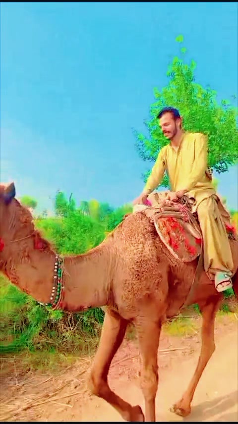 @Adv Jamil Abbasi