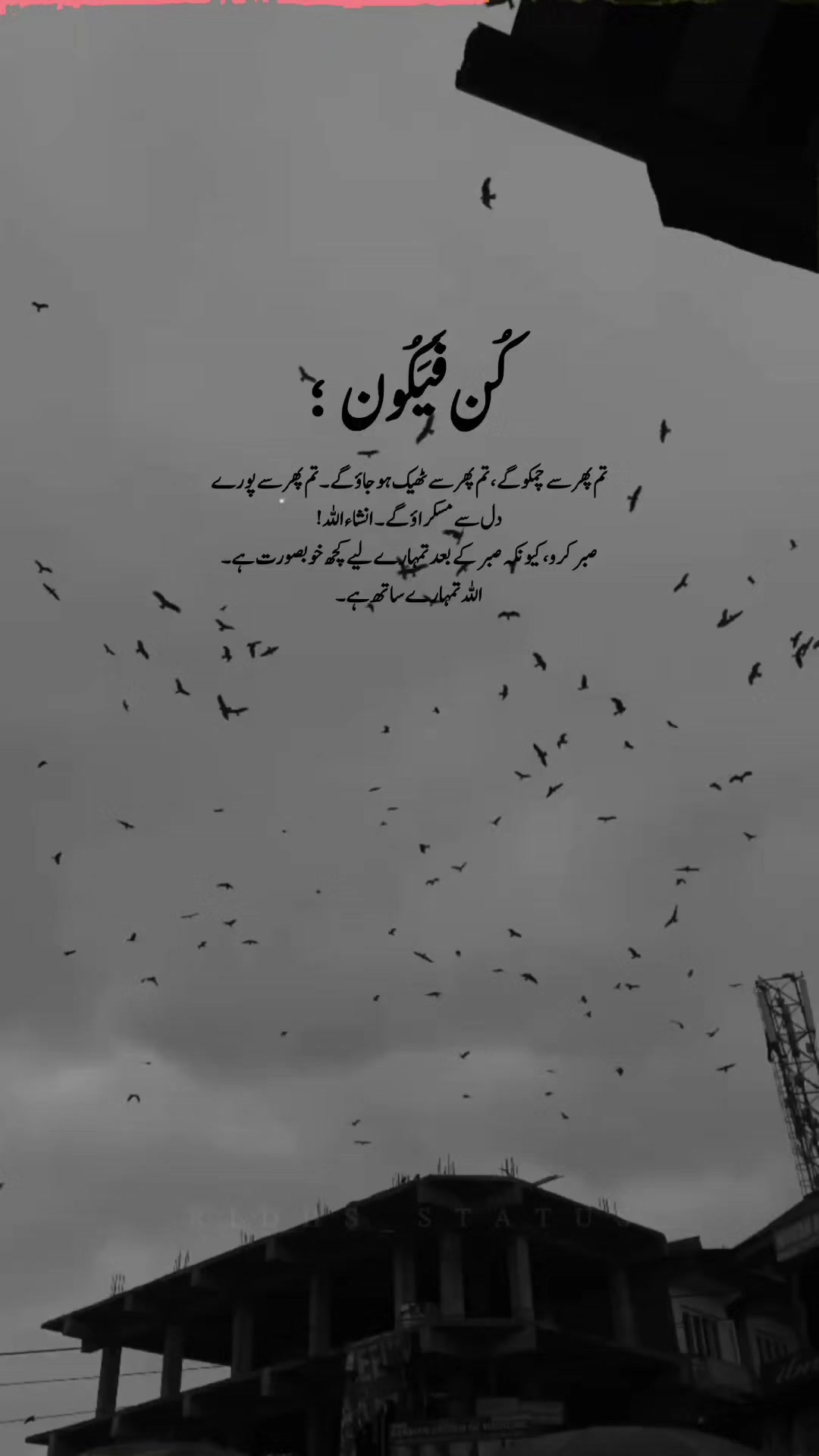@R!dA...!