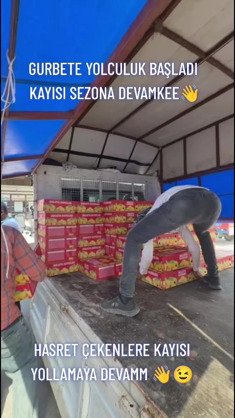 @gazideveci4444