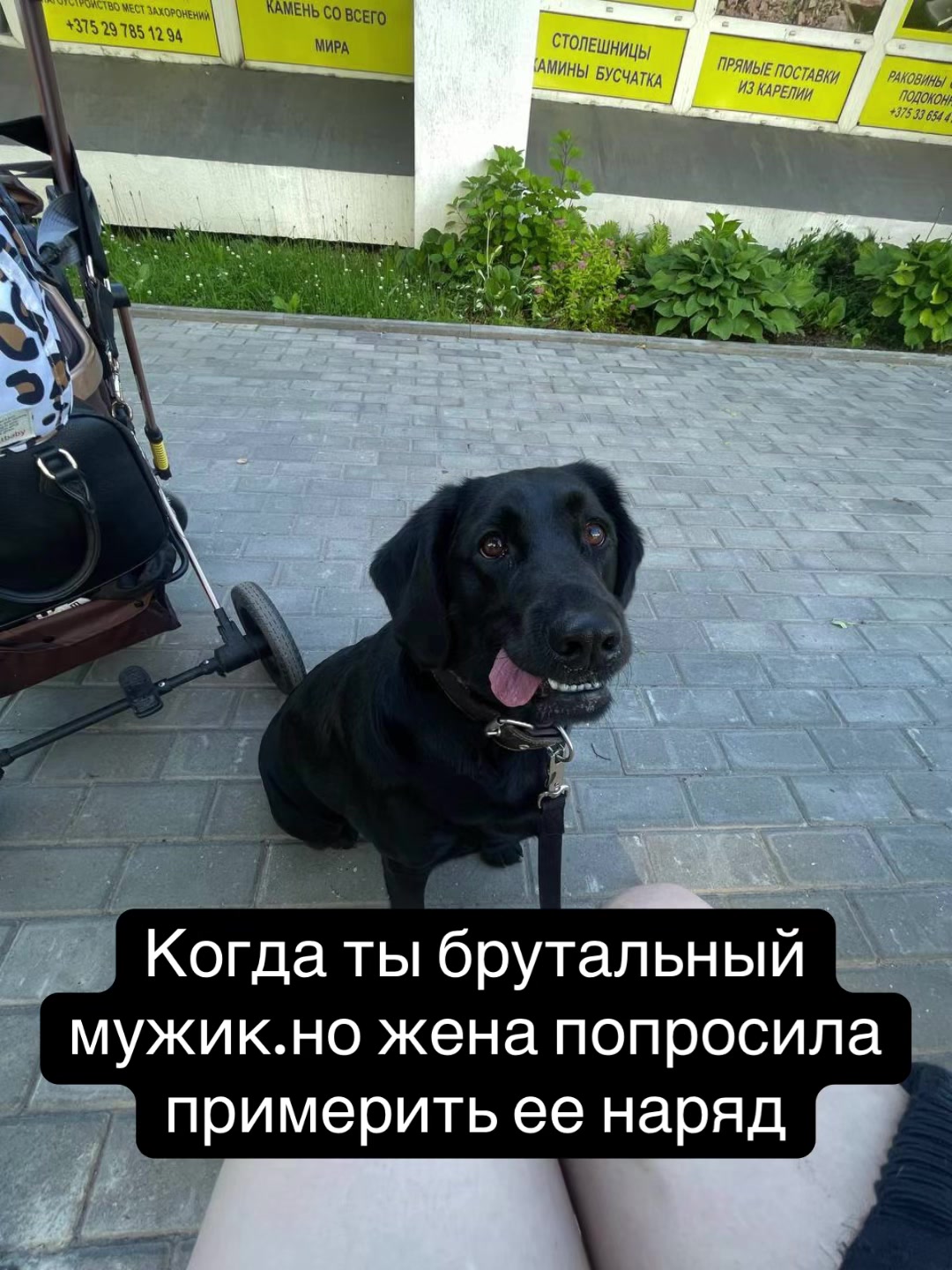 @Зооняня👉Алёна Ващенко