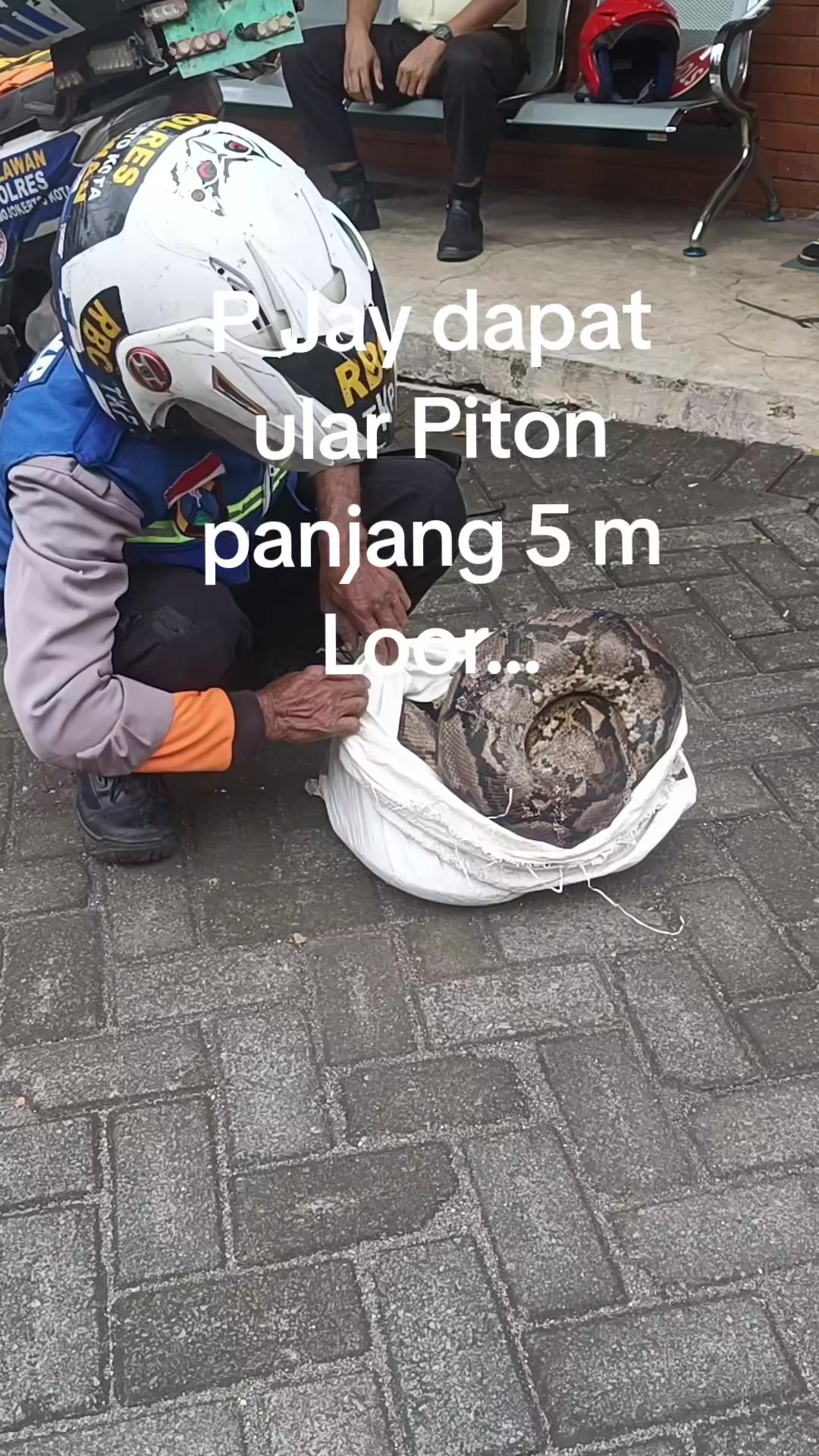 @SEKILASMEDIA.COM