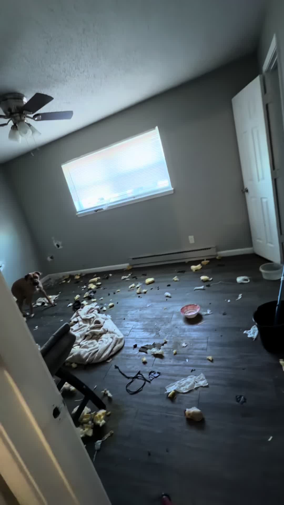 @AnimalWelfareGuy