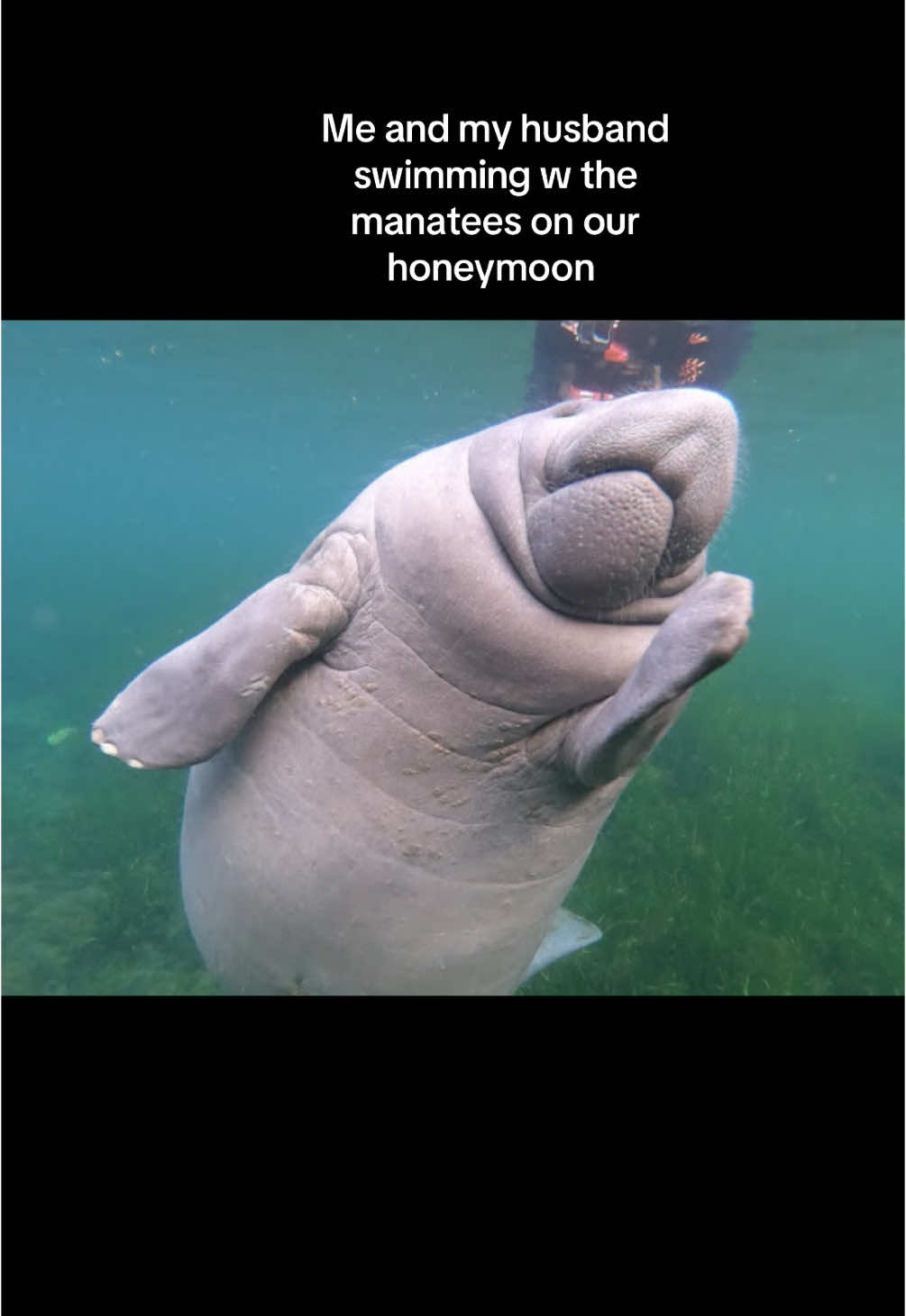 @natfillupz