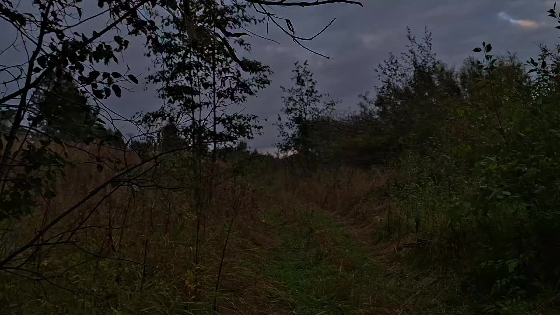 @𝘄𝗲𝗿𝘂𝗹𝗮𝘀𝗲𝗻