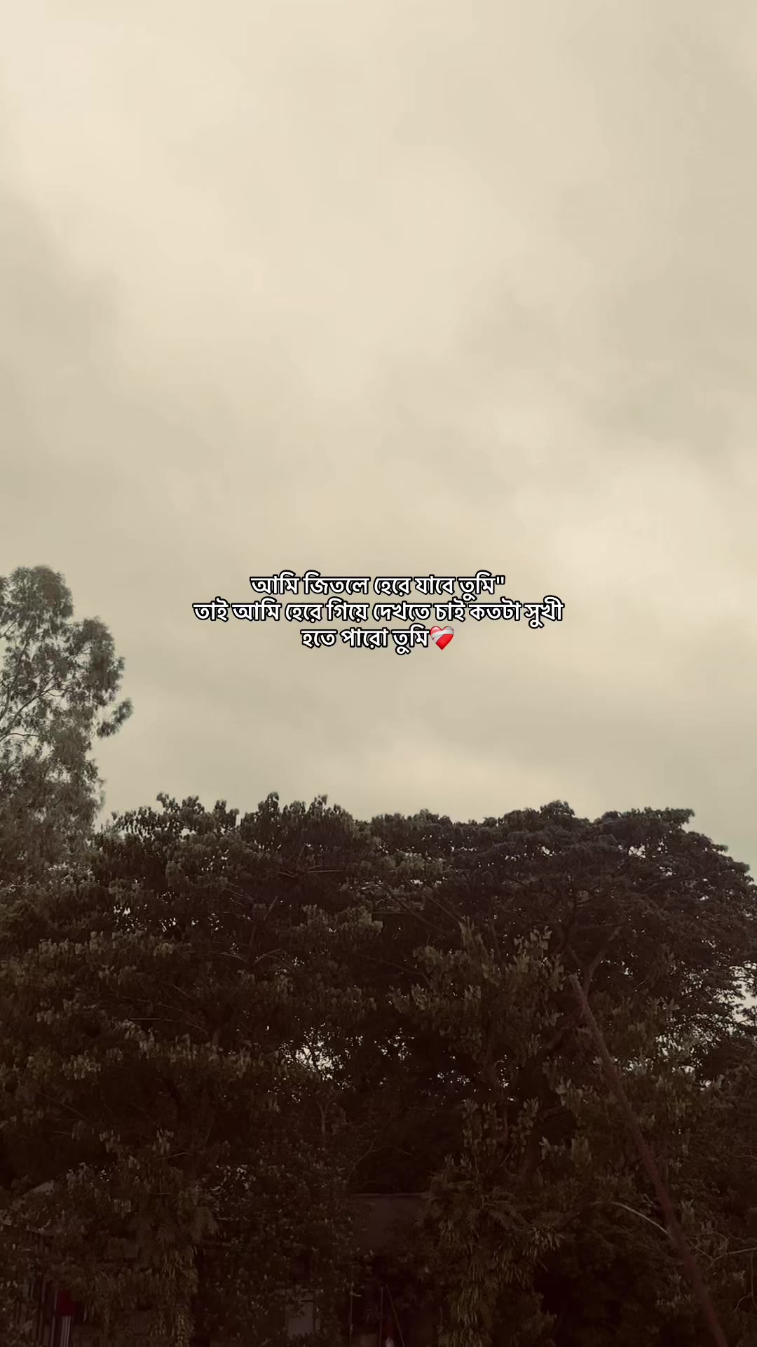 @S i F a T đ¸ī¸đī¸