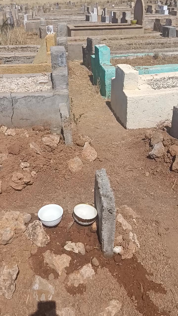 @آميرة جنات