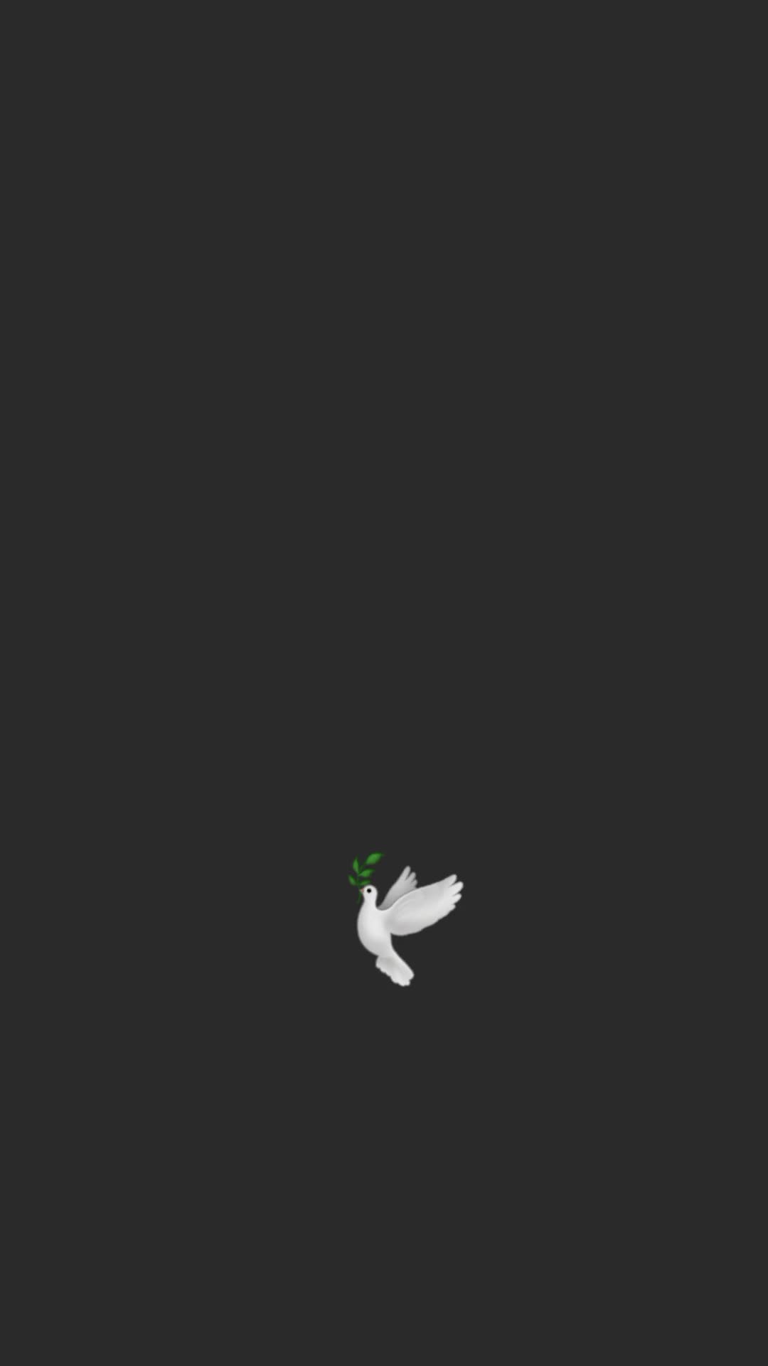 @القرآن الكريم 🕊🎧