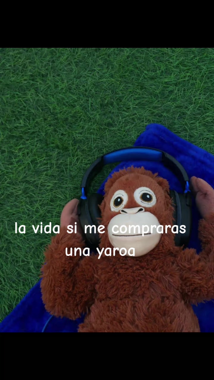 @˚₊‧꒰ა𝒮ℴ𝒻𝒾𝒶 ໒꒱ ‧₊˚