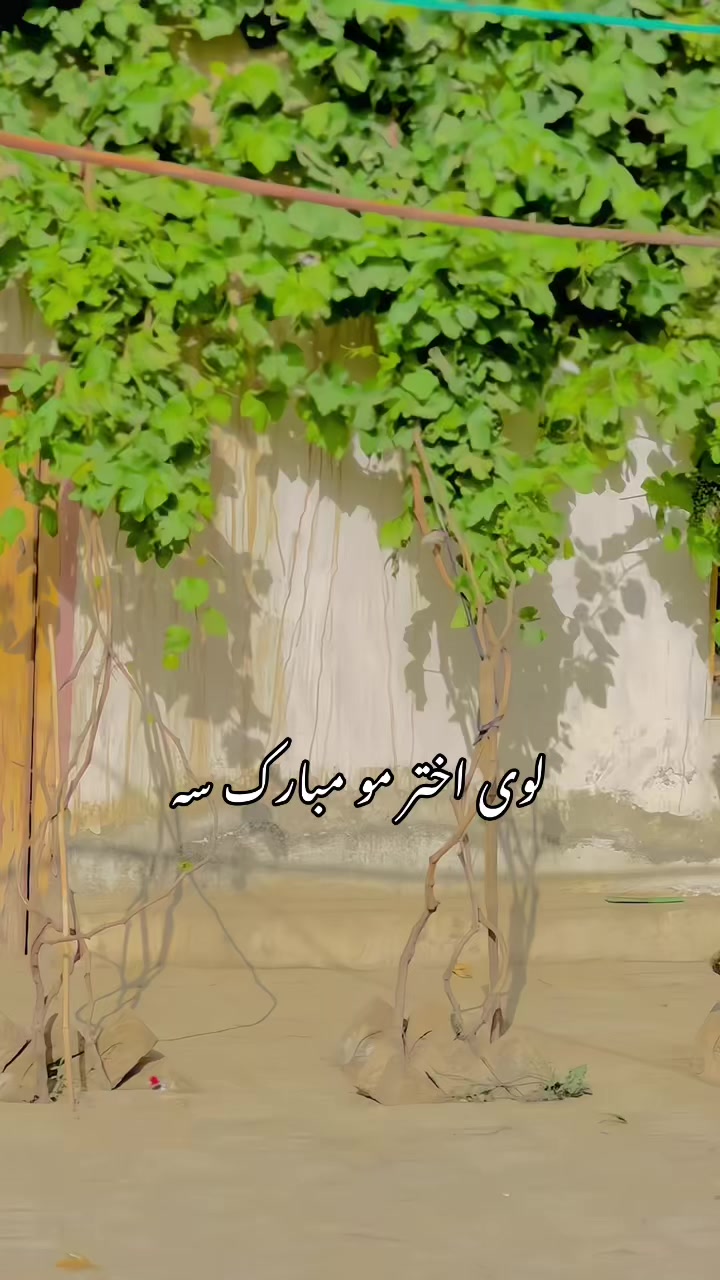 @najééb Khilji