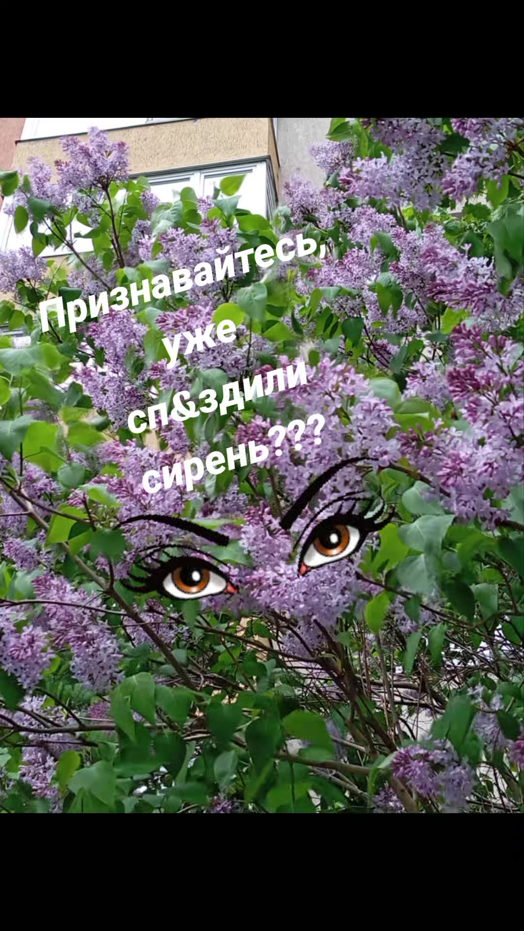 @Танюшка74