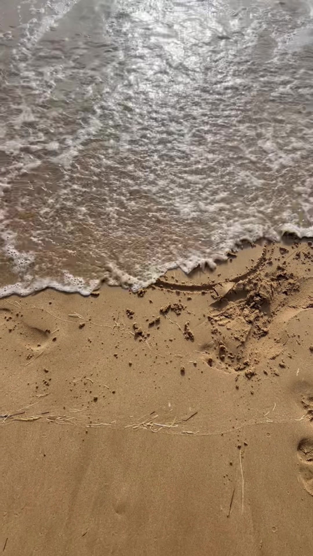 @راجية الغفران