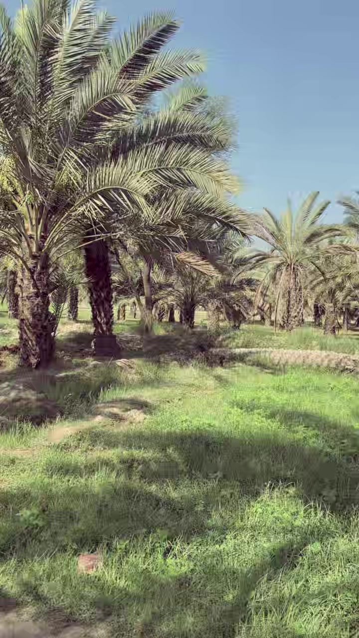 @احتشام 🔥💫