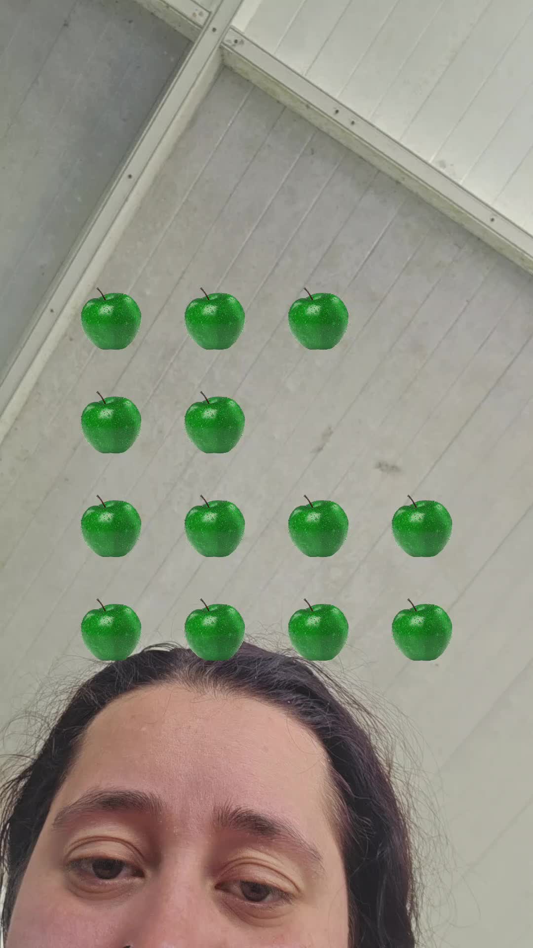 @chelsiemae
