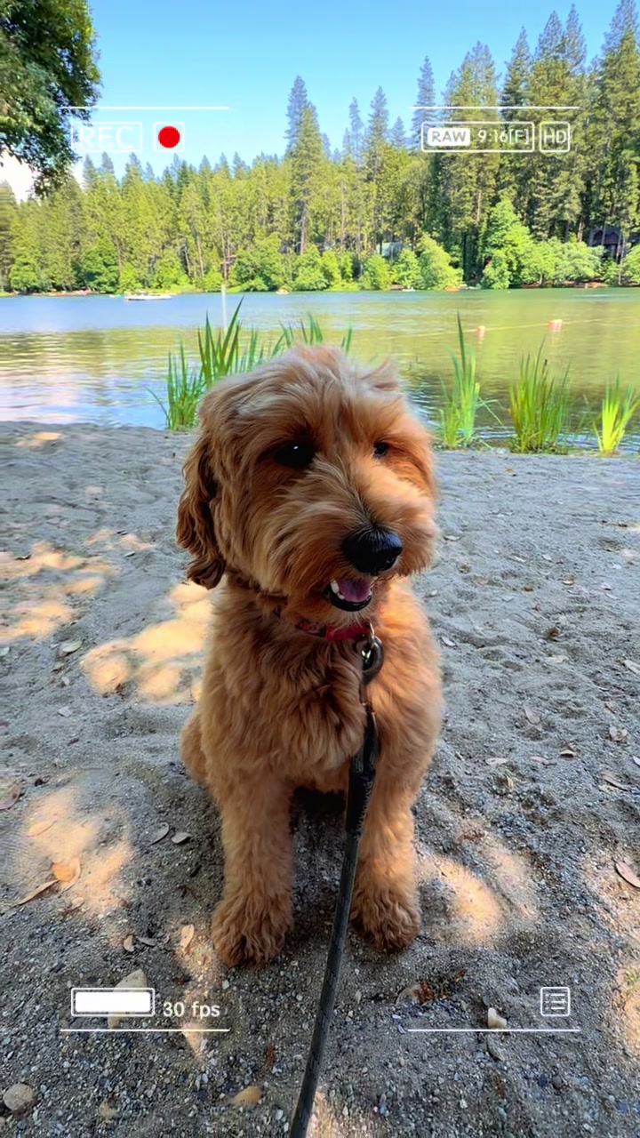 @TuckerTheTurlockDoodle