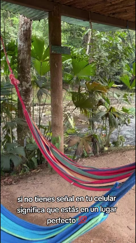 @edimapache