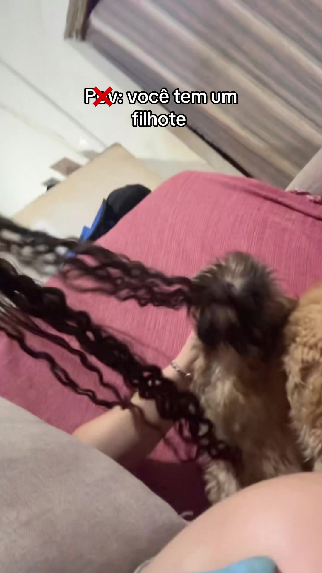@Reis𓇼