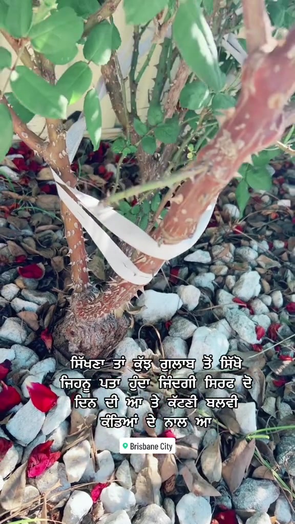 @ਸਵਾਹ&ensp;ਦੀ&ensp;ਖੇਹ&ensp;ਪਿਆਰ