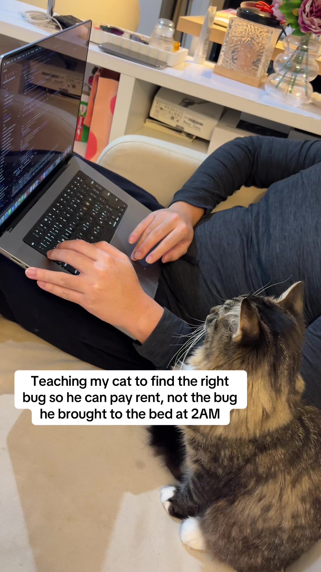 @Mozzie The Cat