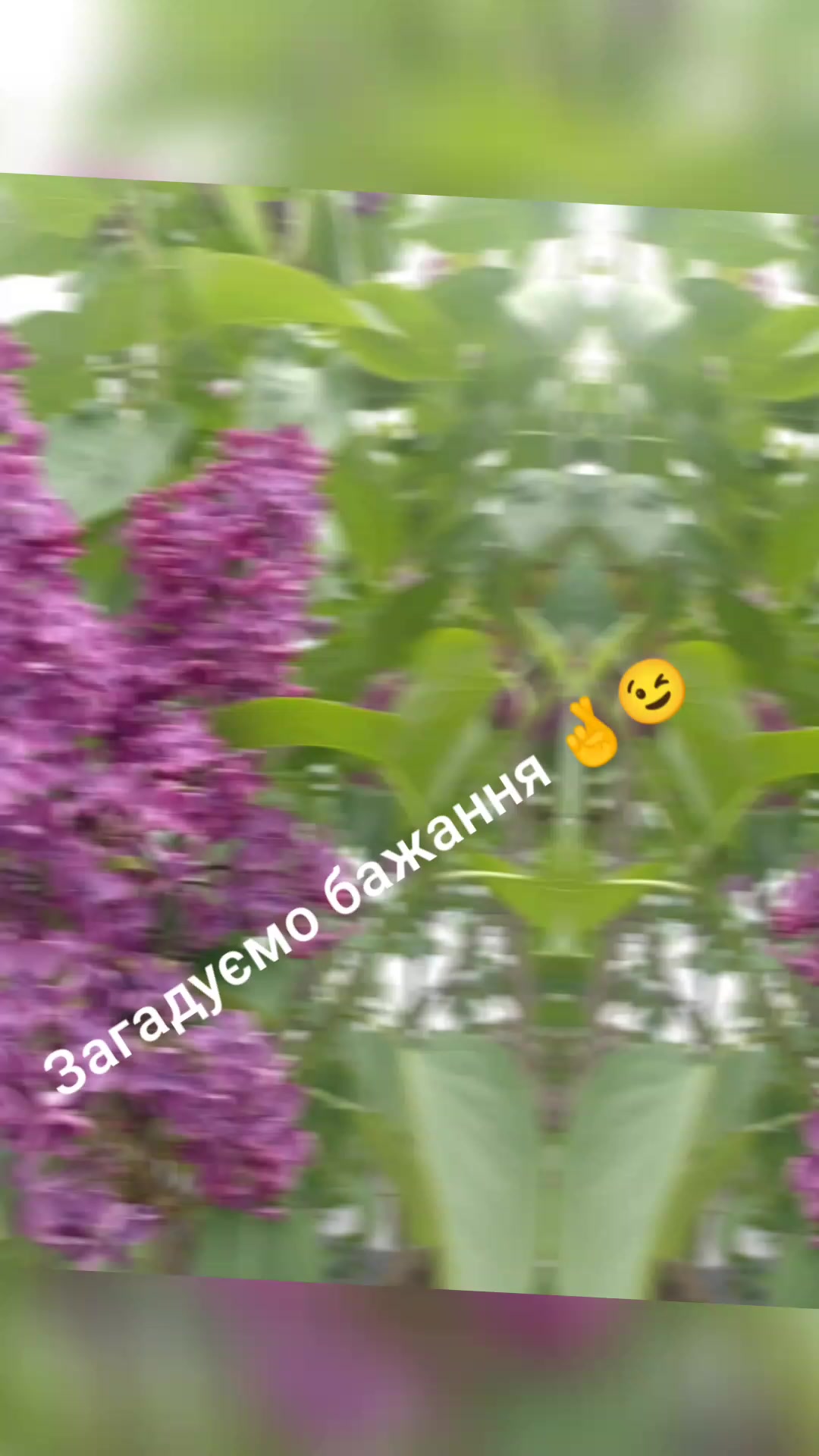 @💙Леся💛