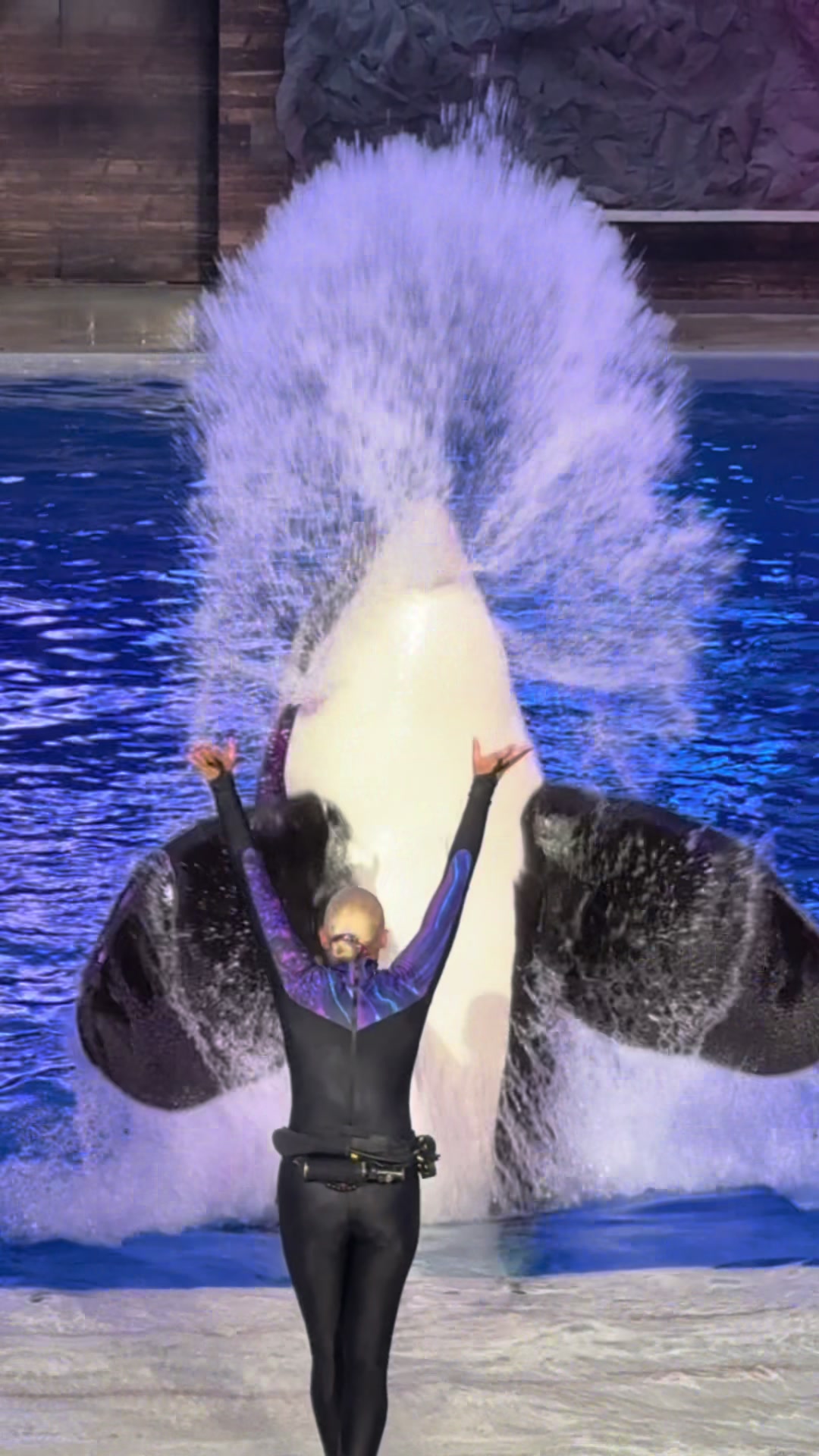 @OlivierSeaworld