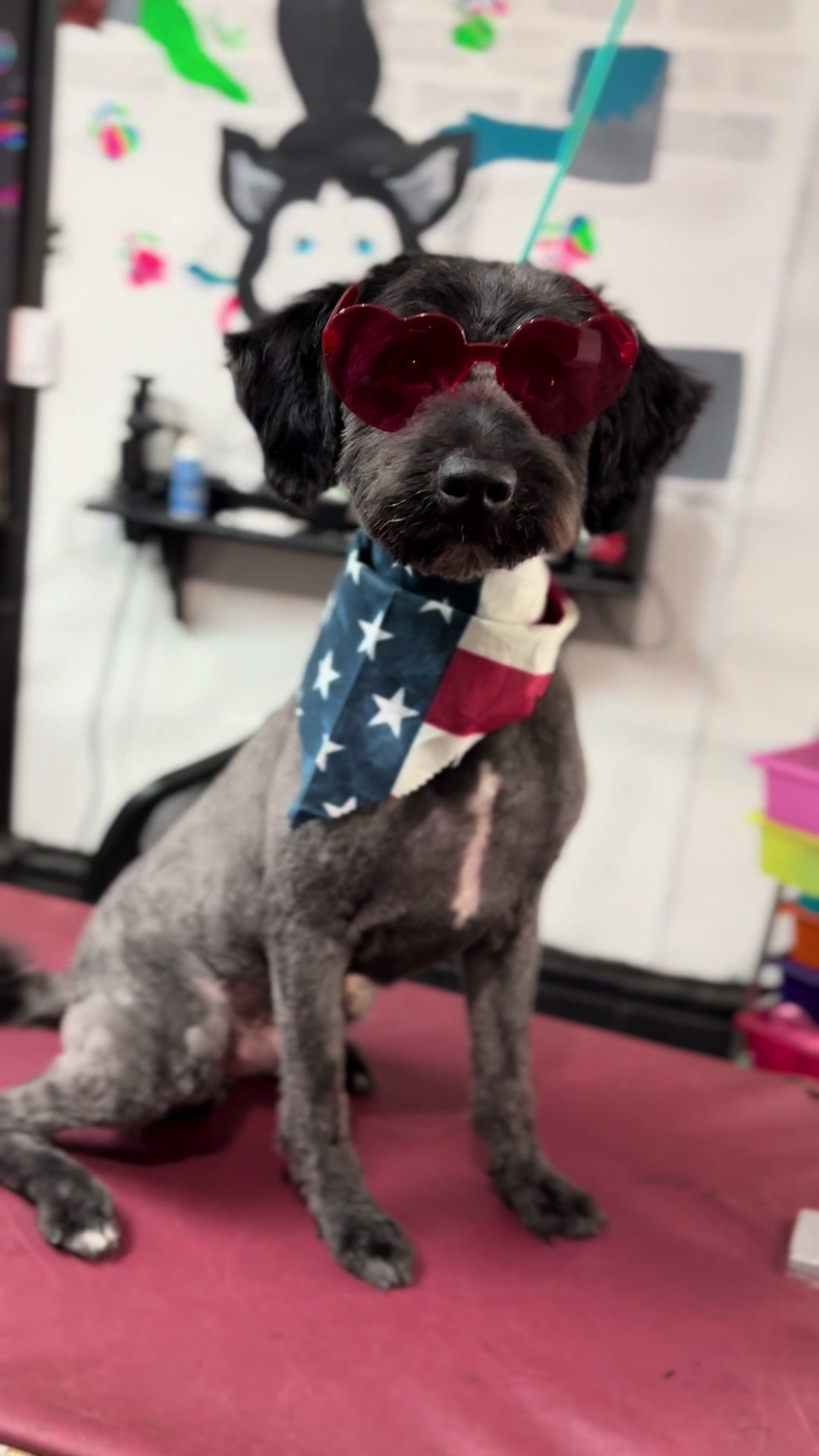 @PRETTY PAWS FURRY SALON🐾💜