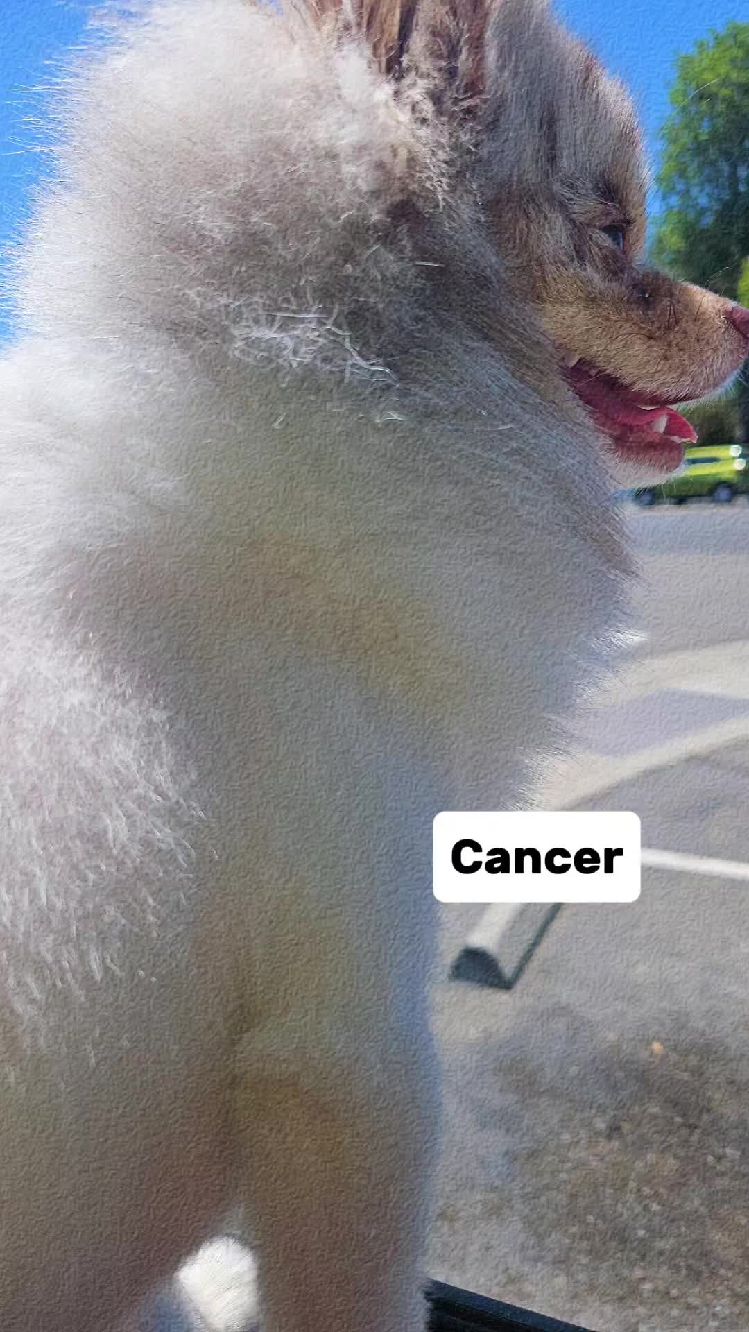 @PRETTY CANCER 6/30