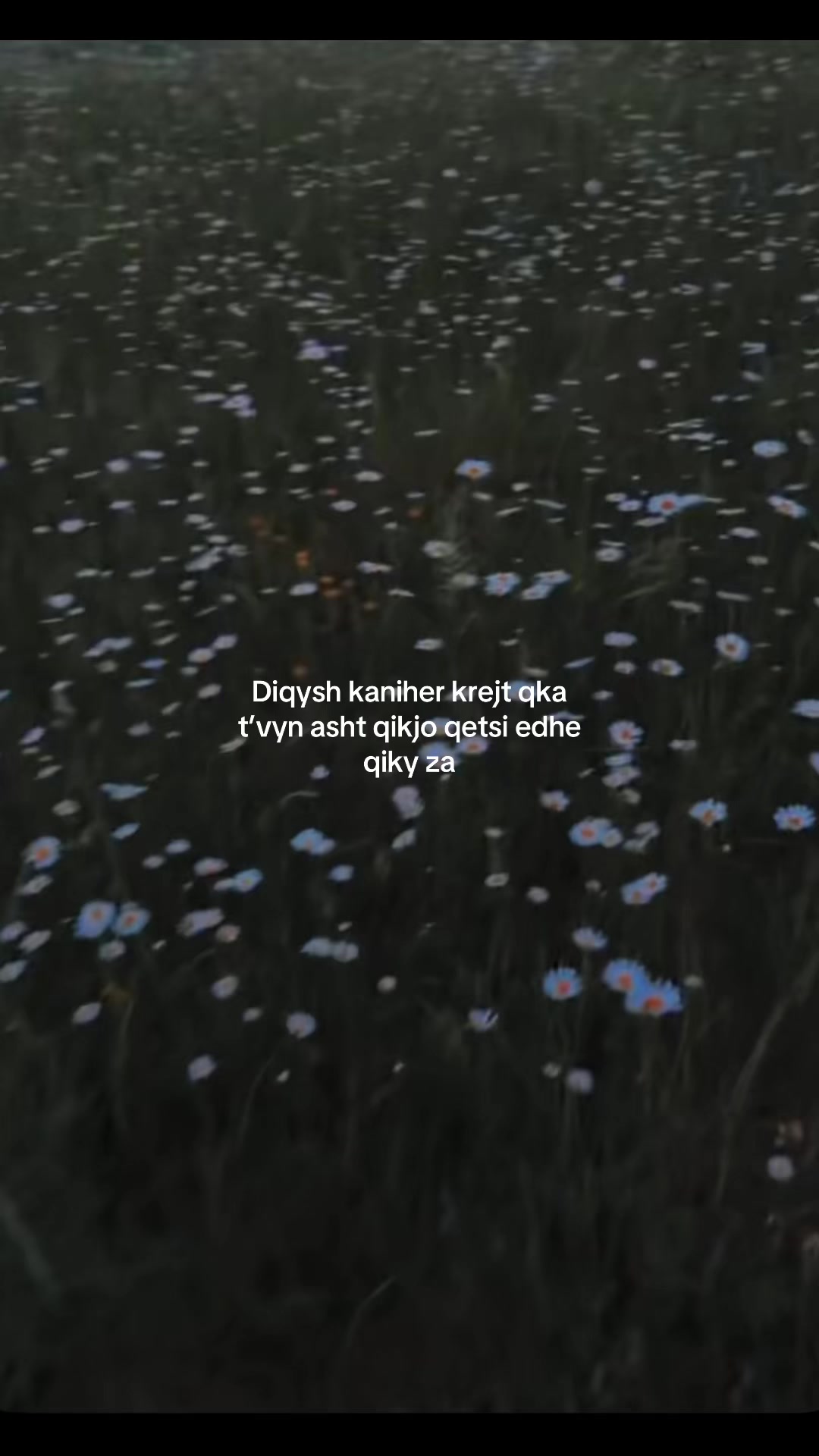 @🌬️