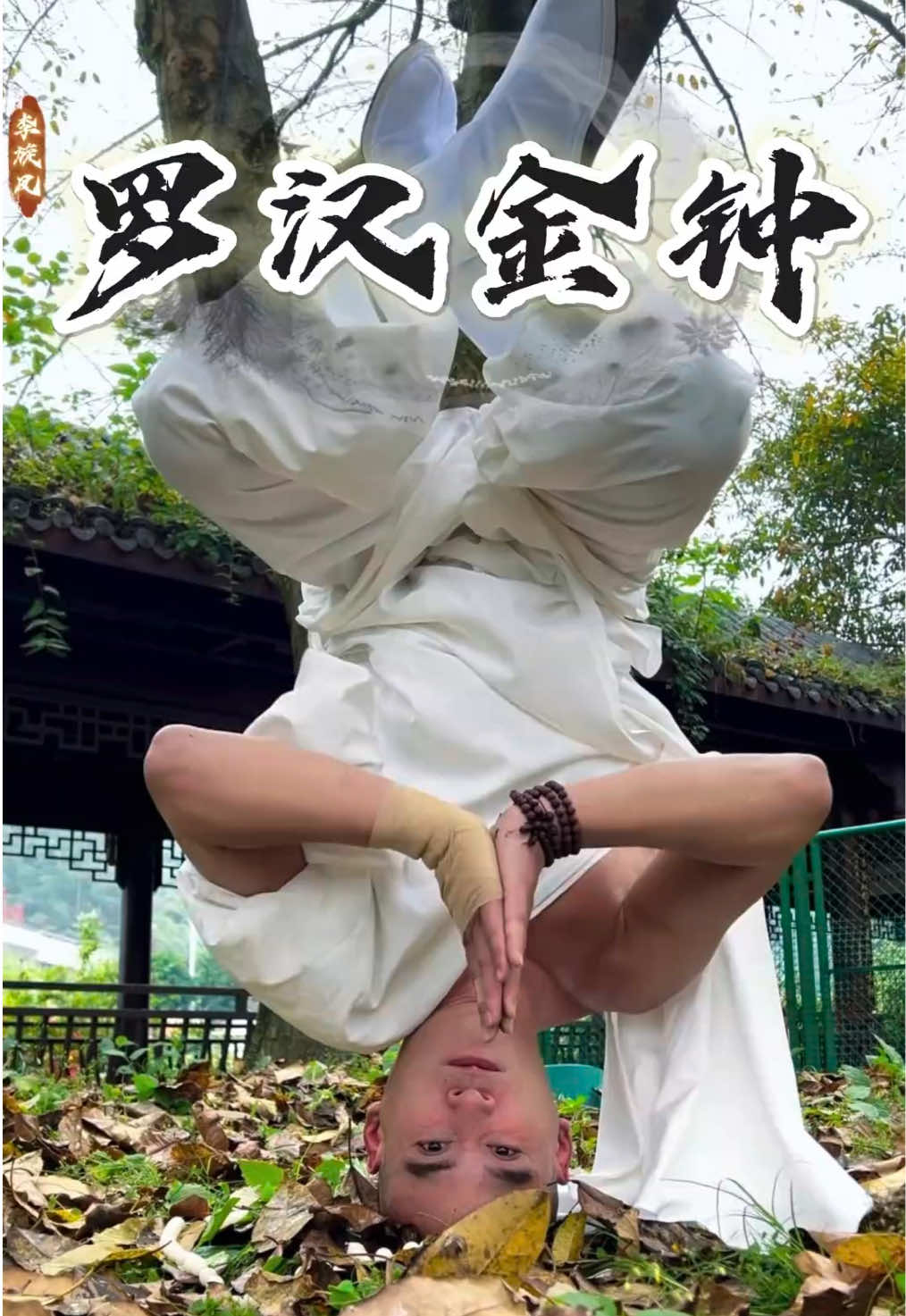 @ShaolinNextGen