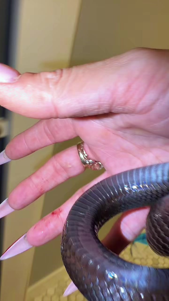 @That.WEIRD.bug.girl