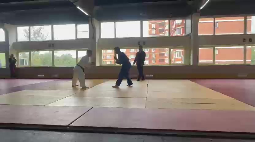 @mir_judo