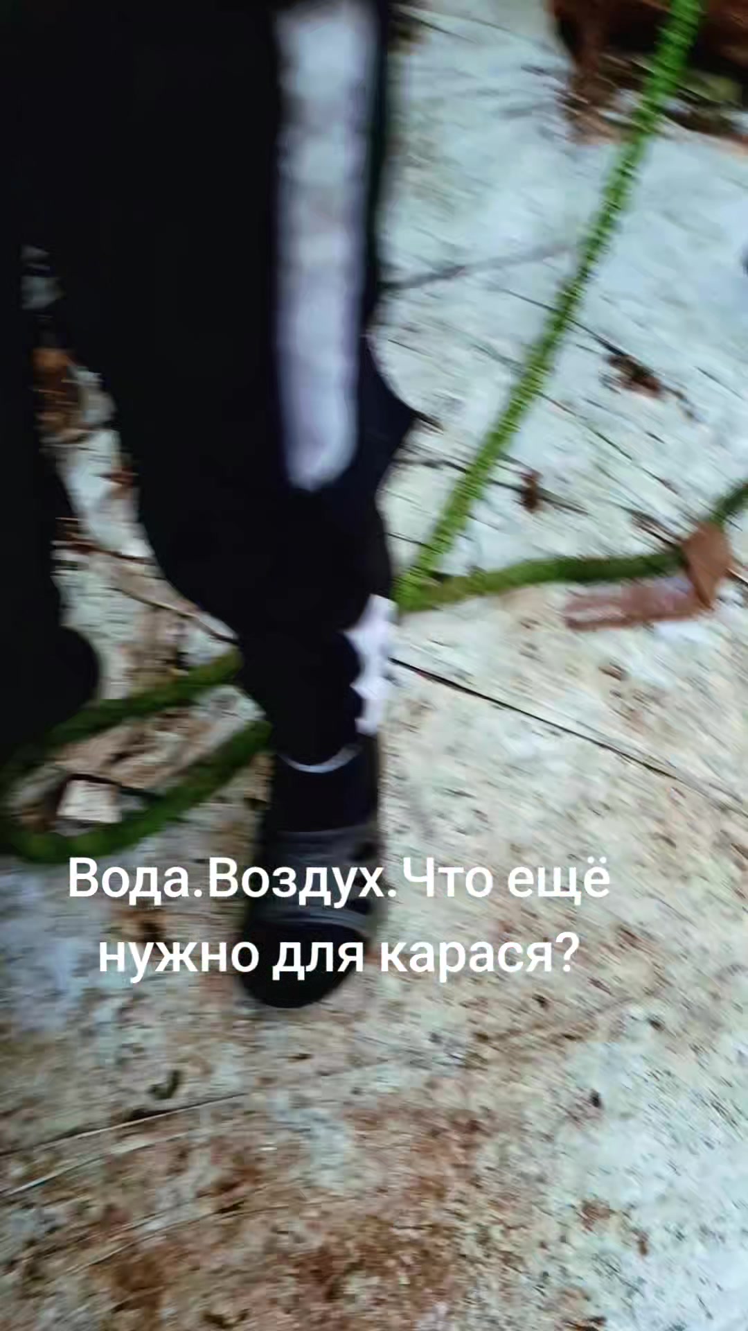 @Vladislav