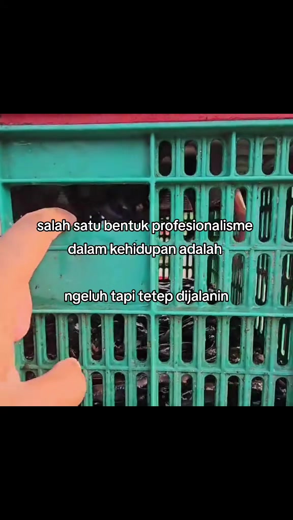 @iliyaas😹