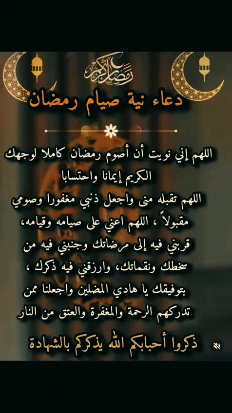 @Nesrine Guendouz