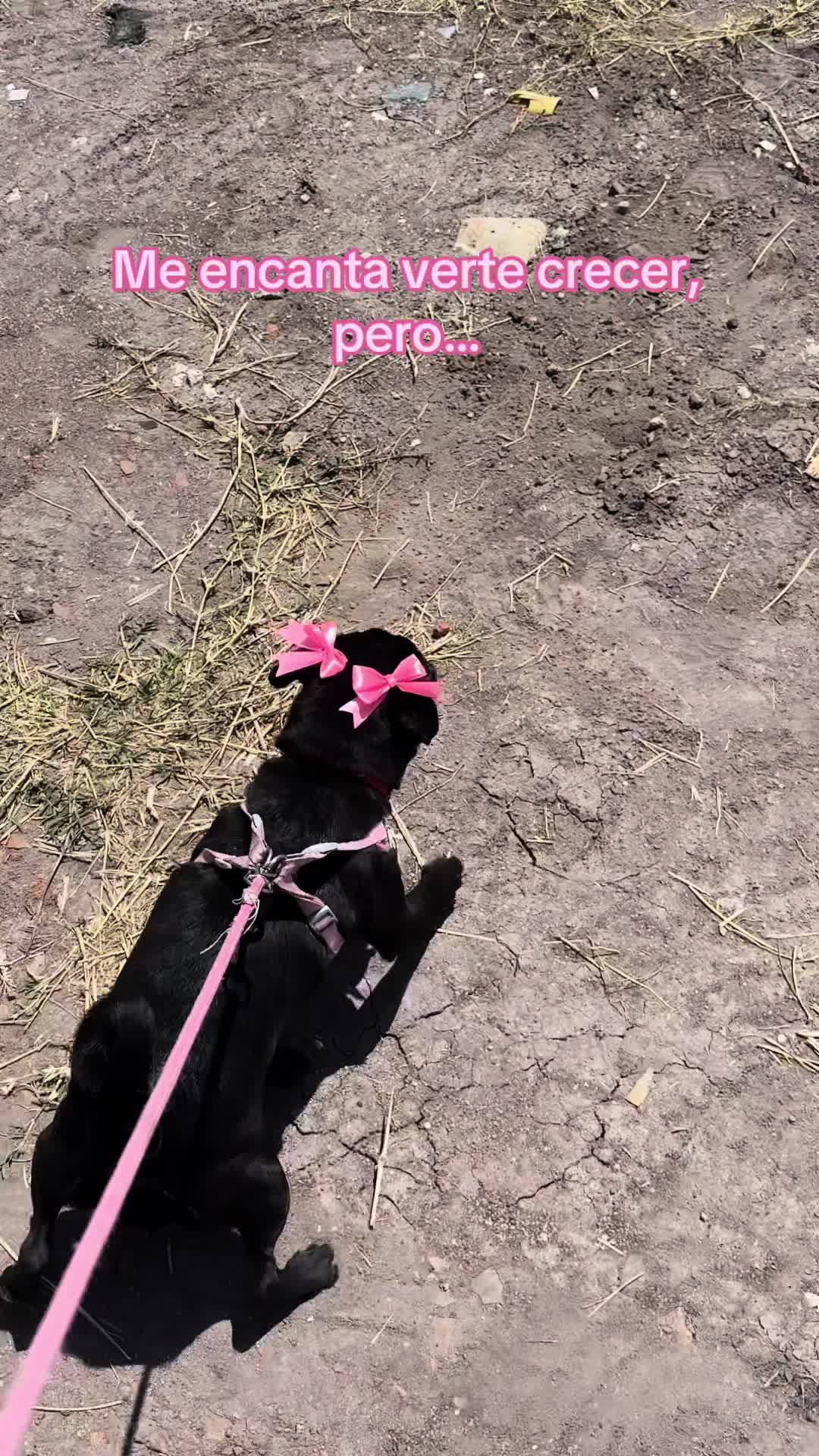 @Dayanna Hernandez