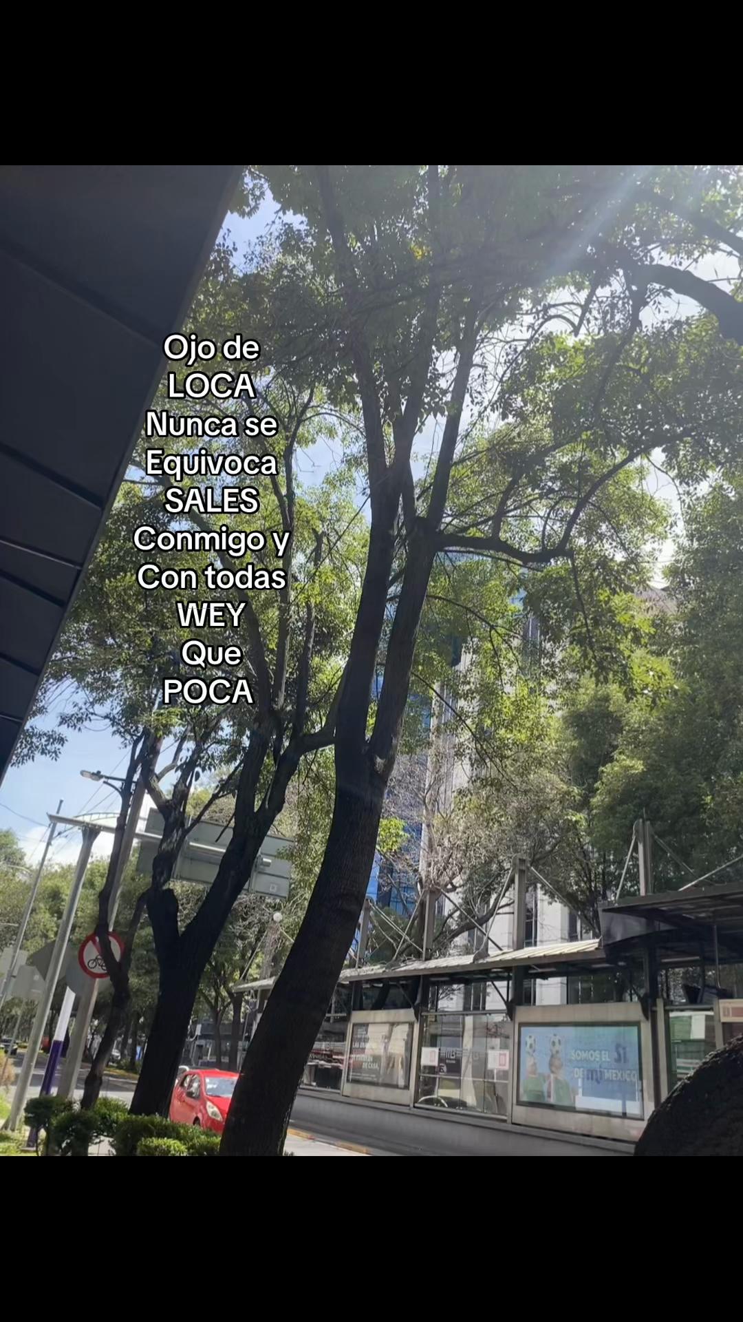 @🦭Lara 💕