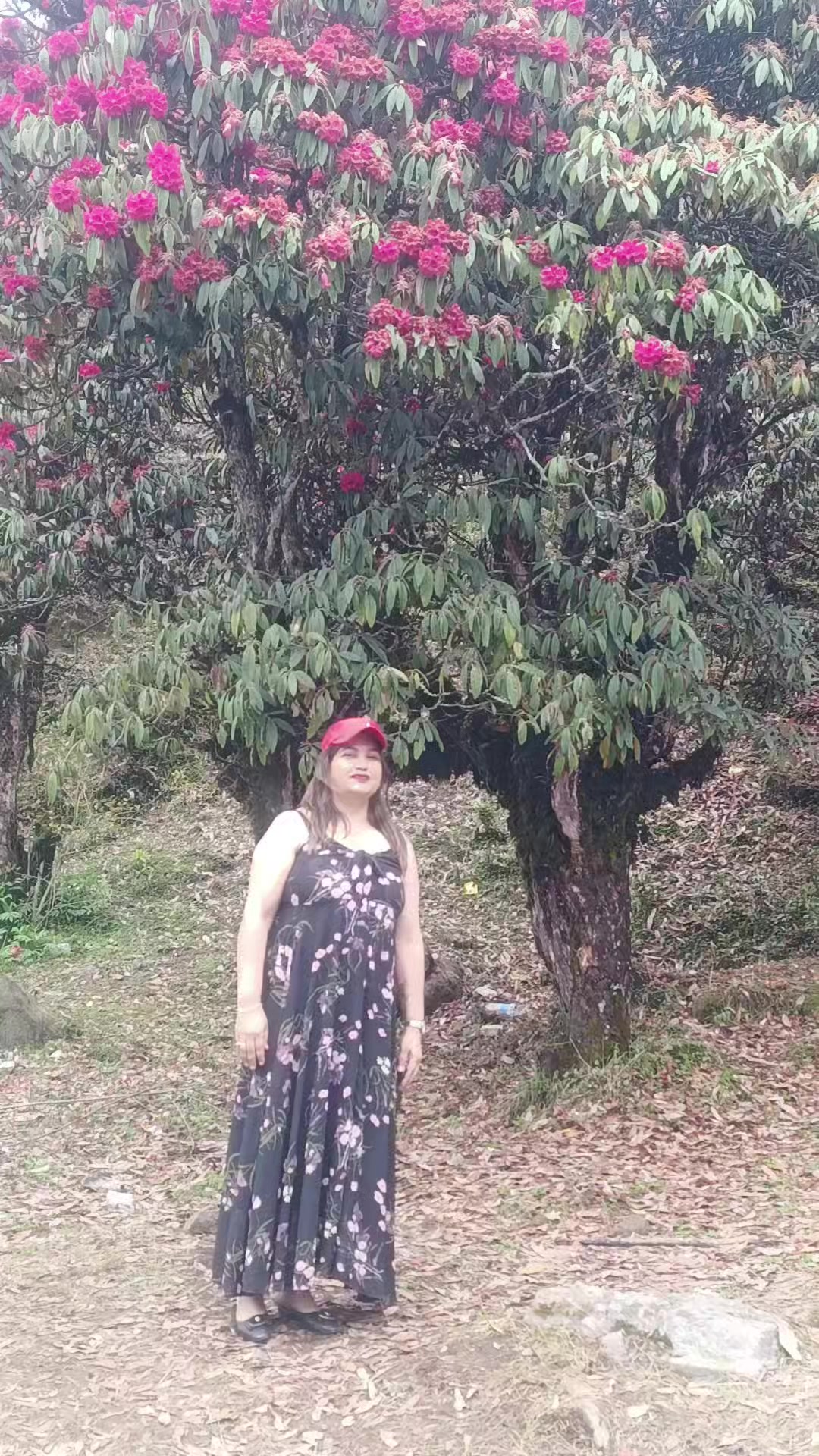 @pabitra 7