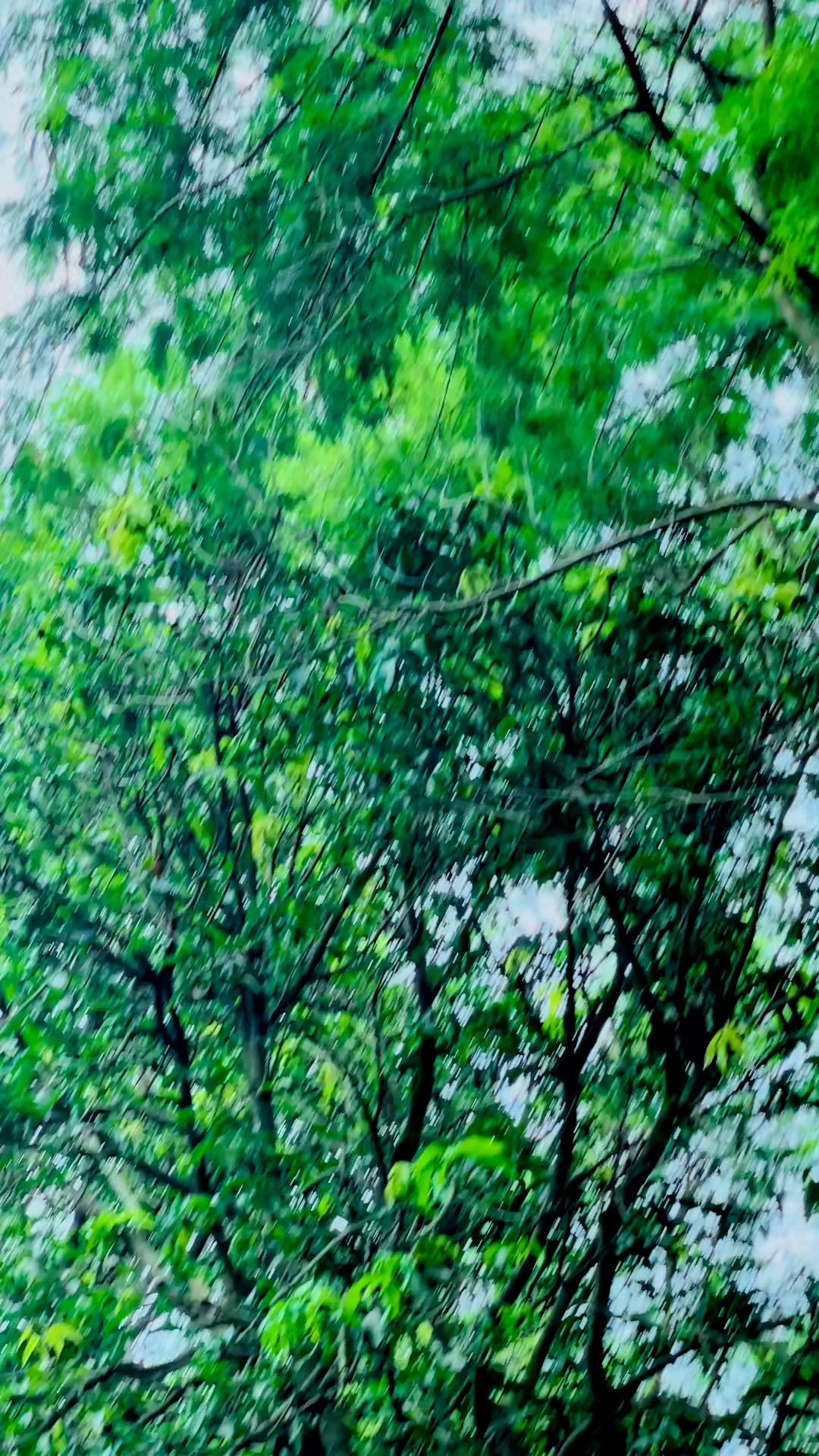 @No_-_-Name🥀💔🥺