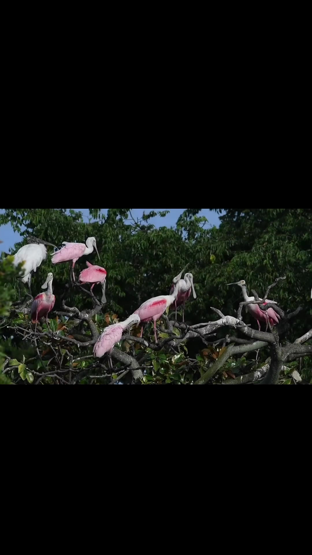 @Everglades National Park
