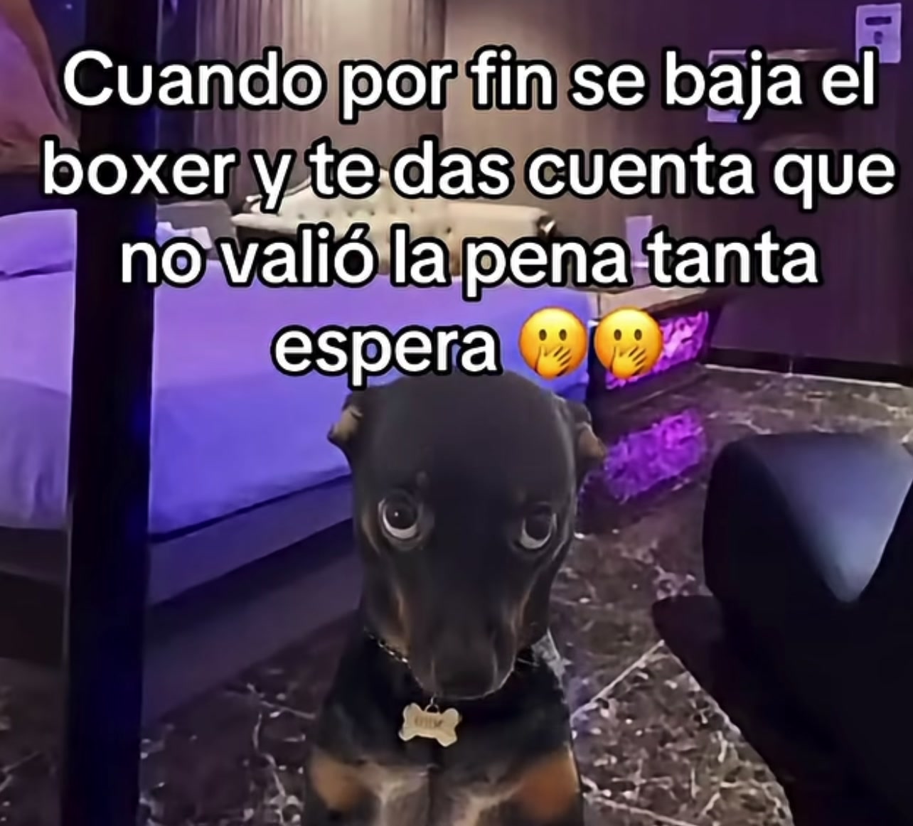 @Telodiceliz