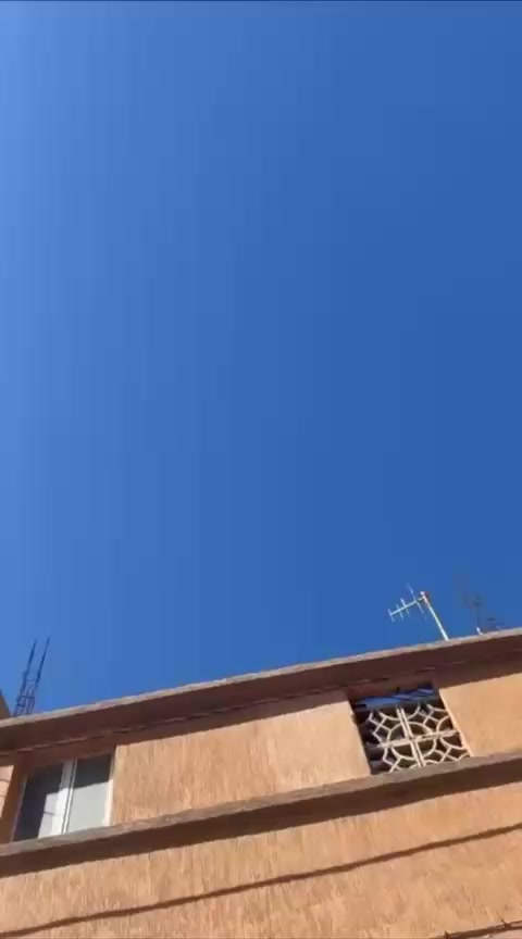 @👻نيوت👻