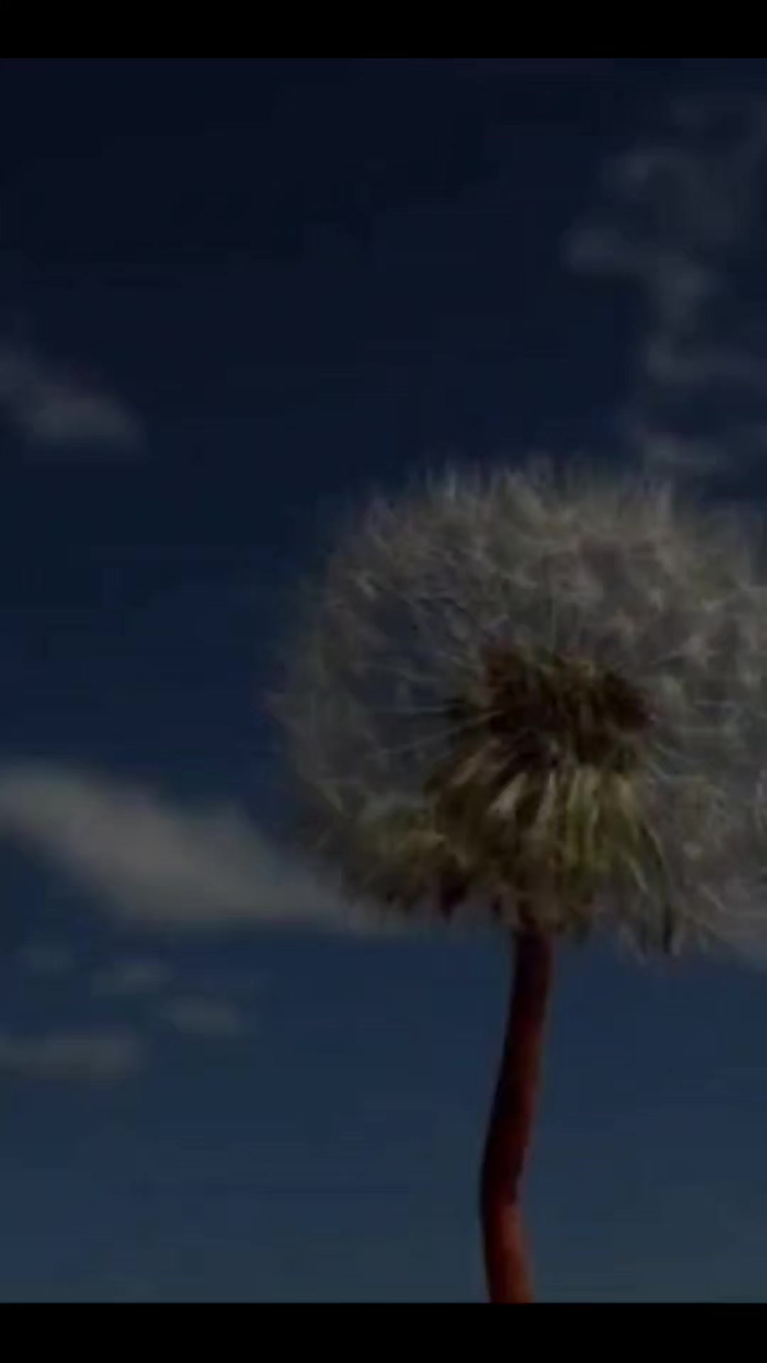 @MC777
