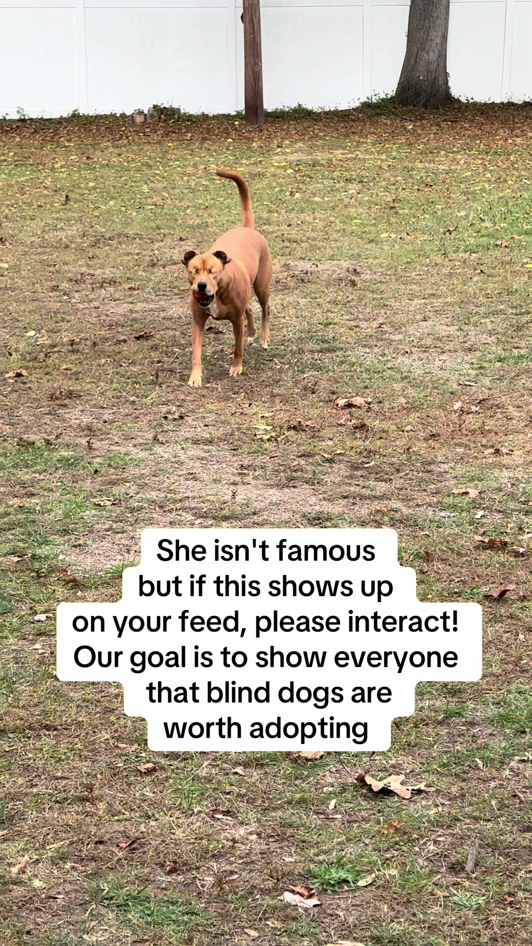 @Evas Blind Adventures