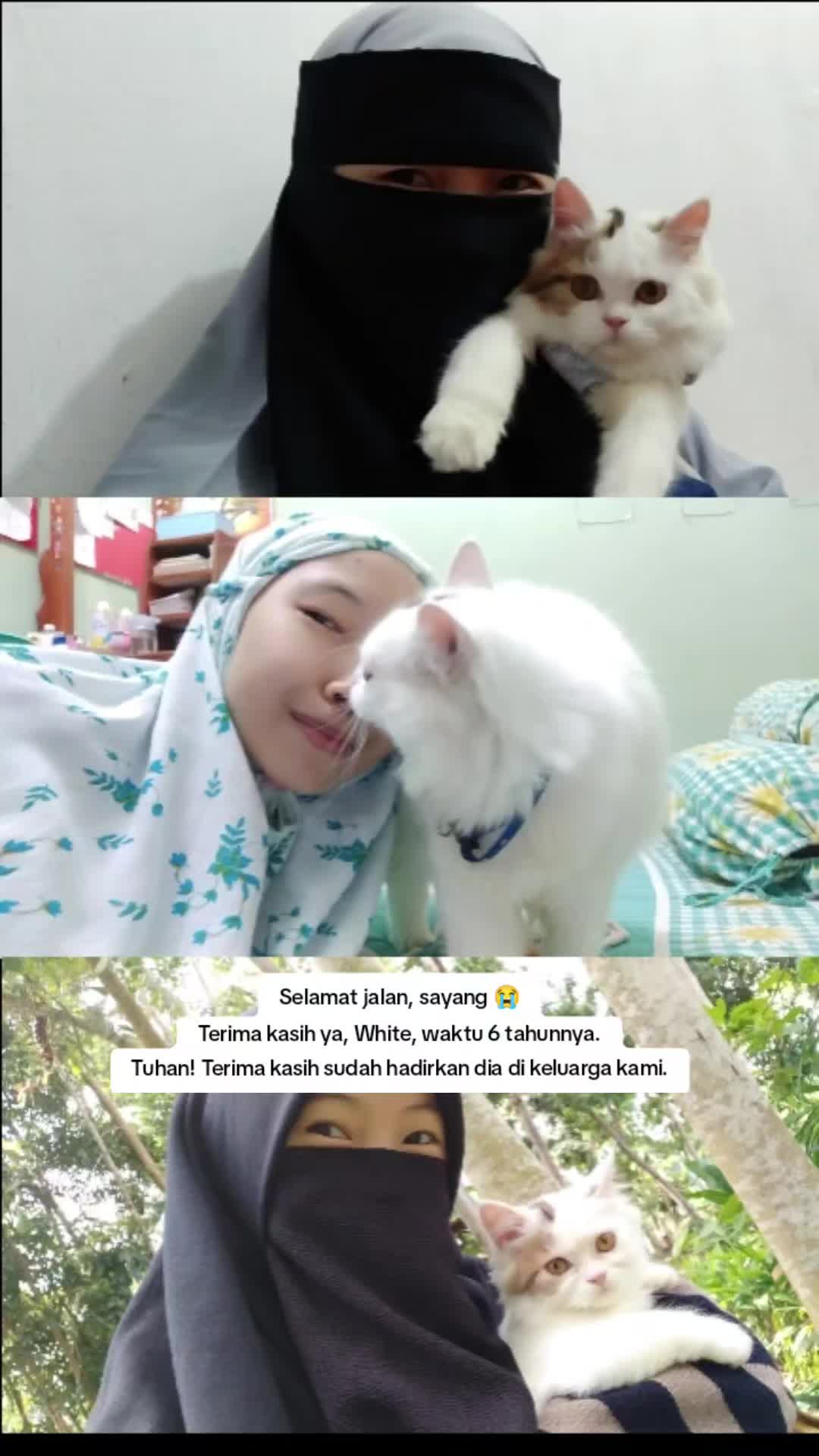 @Meymey