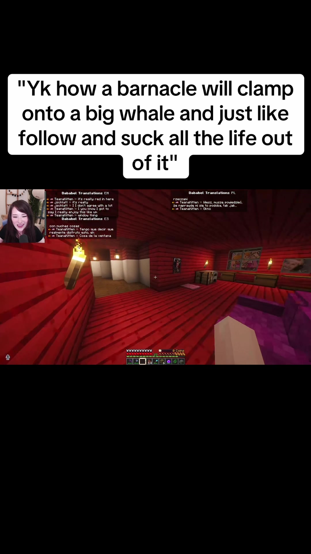 @frostyclips