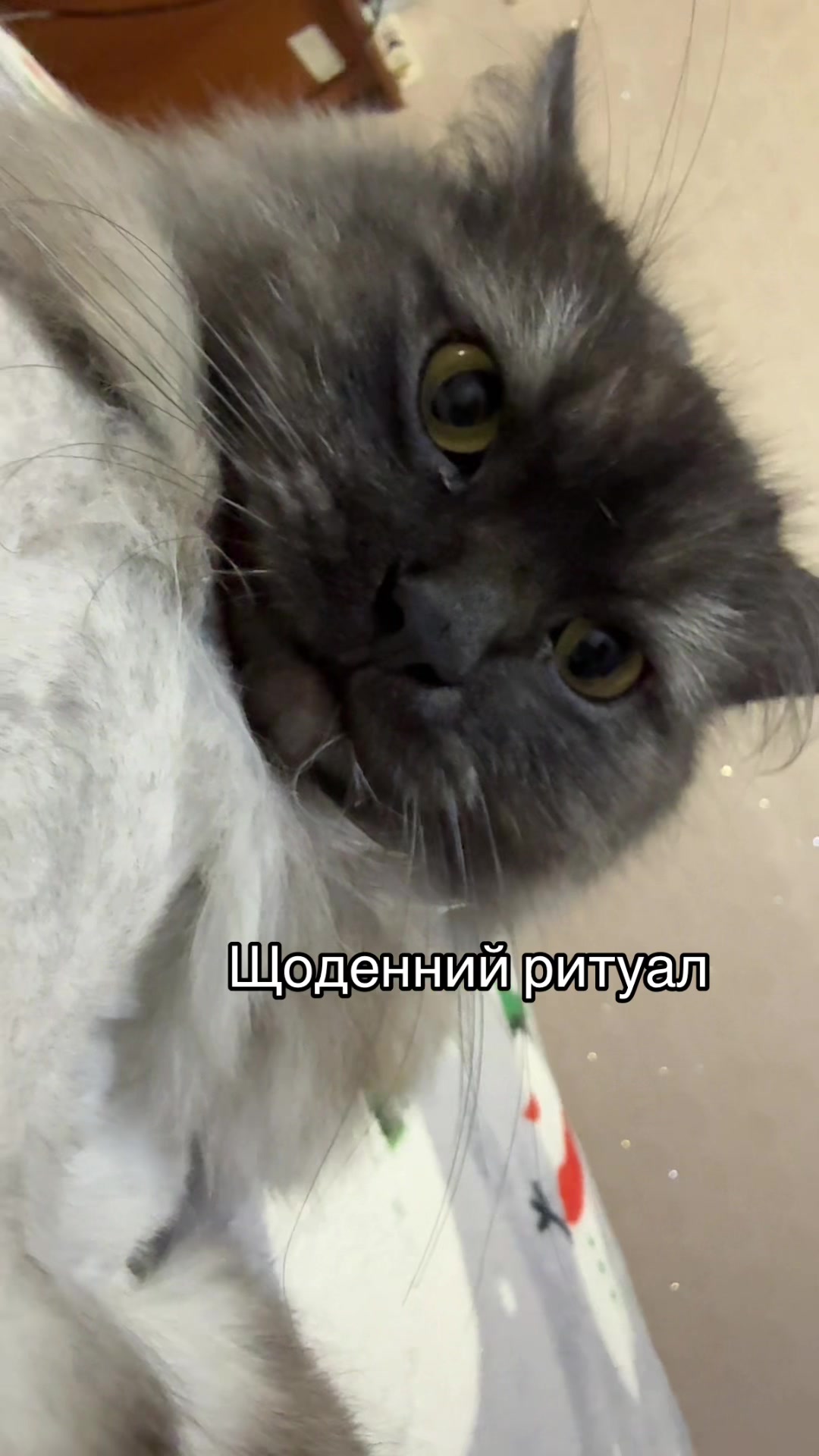@_SUSHI_OK_