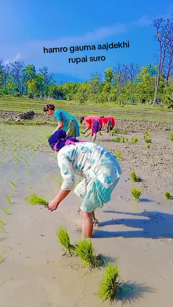 @Rekha bohara1